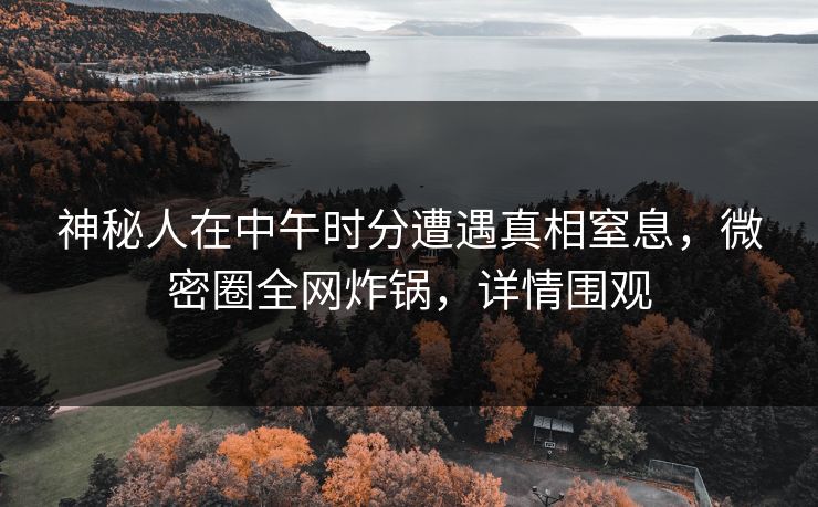 神秘人在中午时分遭遇真相窒息，微密圈全网炸锅，详情围观